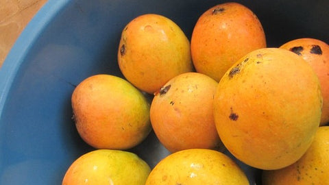 Slow, Seasonal and Sentimental: The annual journey of Goa’s favourite Mango
