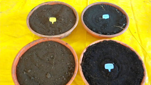 Preparing great soil for container gardening