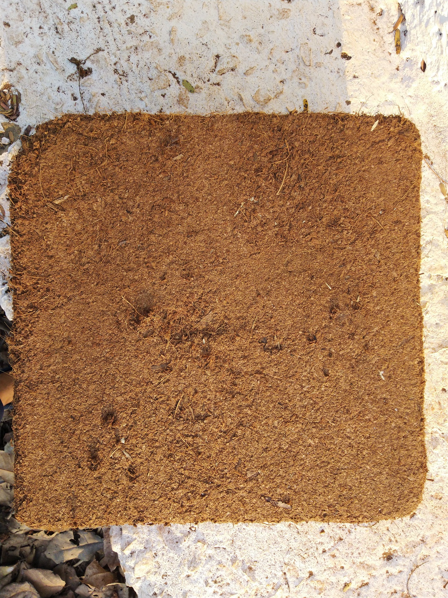 Coco Peat Block - 4kg