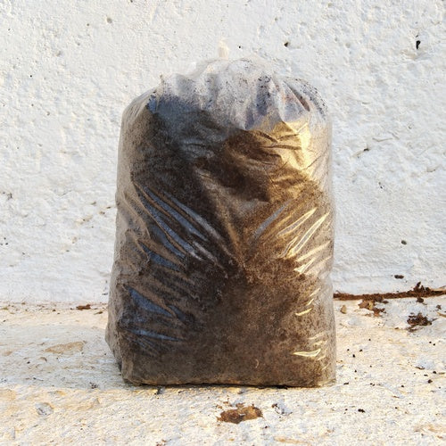 Potting Soil - 10kg